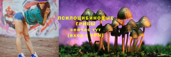 гидра Алзамай