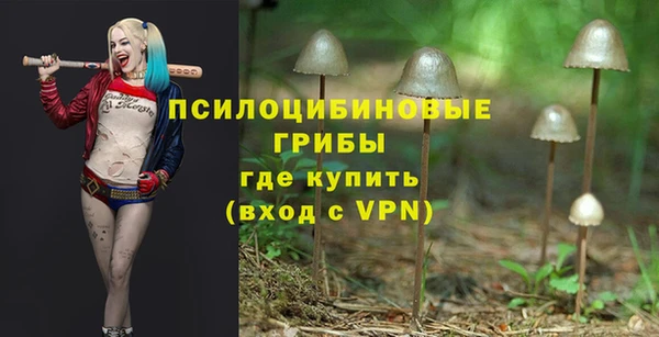 тгк Алексеевка